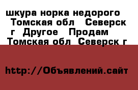 шкура норка недорого  - Томская обл., Северск г. Другое » Продам   . Томская обл.,Северск г.